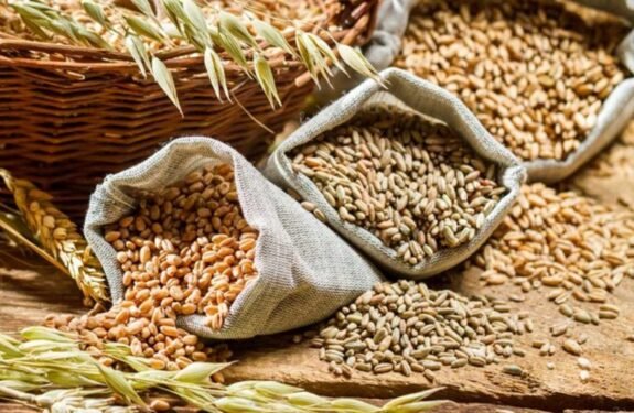 Agriculture &Amp; Food